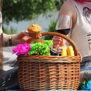 Packa för en perfekt picknick